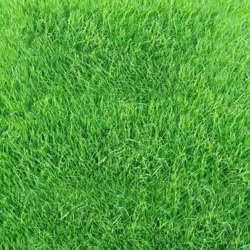 Churong Outdoor Artificial Grass Mat