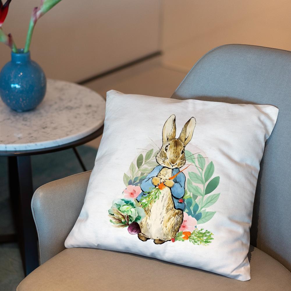 P-Peter Rabbit printing Cushion Cover 2-in-1 Reversible Plush Pillow Cover | Car/Sofa/Bed | Perfect Gift