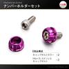 Daytona PREMIUM ZONE Motorcycle License Plate Bolt M6 X 15mm