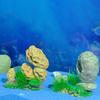 Aquariums Decorations Mountain Rockery Landscape Resin Craft Model Statue for Shrimp Fish Fishtanks Hideouts Cave House