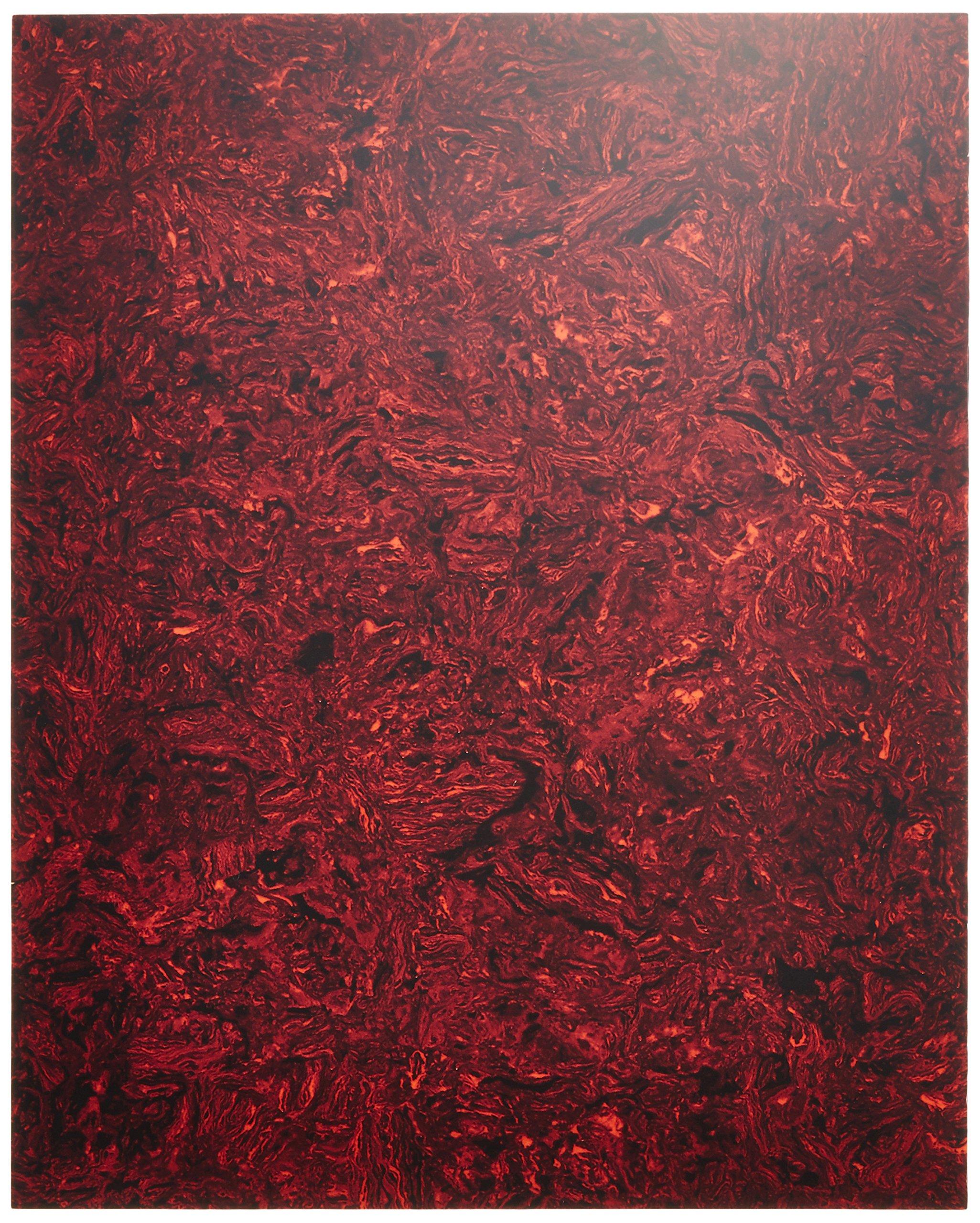 

Накладка Scud, рисунок «красный черепаховый панцирь», F-PGRT для акустических гитар