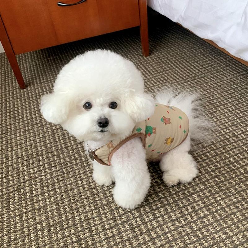 Dog Cotton Coat for Traction, Winter Thickened Vest, Cat and Small Dog Pet Autumn and Winter Clothing