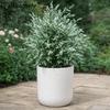 Realistic Lavender Bonsai Stake Real Touch Plastic Artificial Ground Stake Handmade UV Protection Potted Bonsai