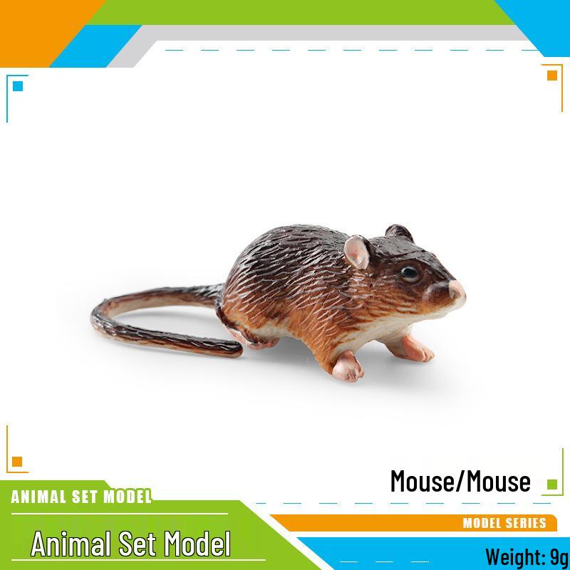Cross-border Wildlife Animal Model: Hamster, Snail, Flying Squirrel, Mouse, Meerkat, Anteater Cognitive Simulation Ornament for Children