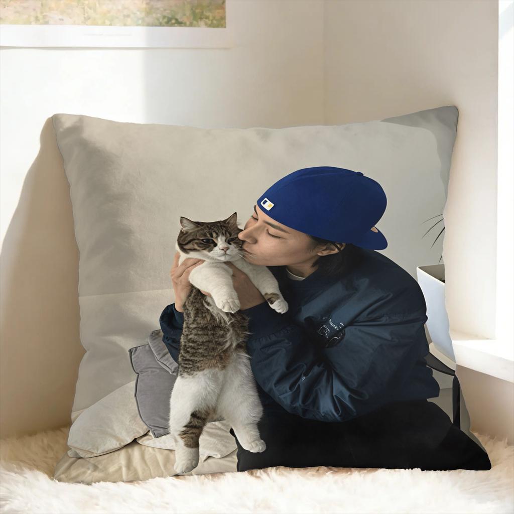 I-lngshot LOUIS Pillowcases Fashion Pillow Case For Couch Sofa Bedroom Square Pillow Cover