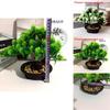 Pinus Hwangshanensis Artificial Bonsai With Plastic Material For Home Decor And Gift Use