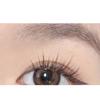 denivyse - Bottom False Eyelashes