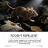Rodent Repellent Spray Made with Essential Oils for Home Patio Garden Safe for Kids and Family Effective Point and Spray Application 60ml 2oz