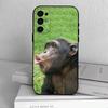 Funny Cute Monkeys  Phone Case For Samsung S25,S24,S21,S22,S23,S30,Ultra,S20,Plus,Fe,Soft Silicone Black Cover