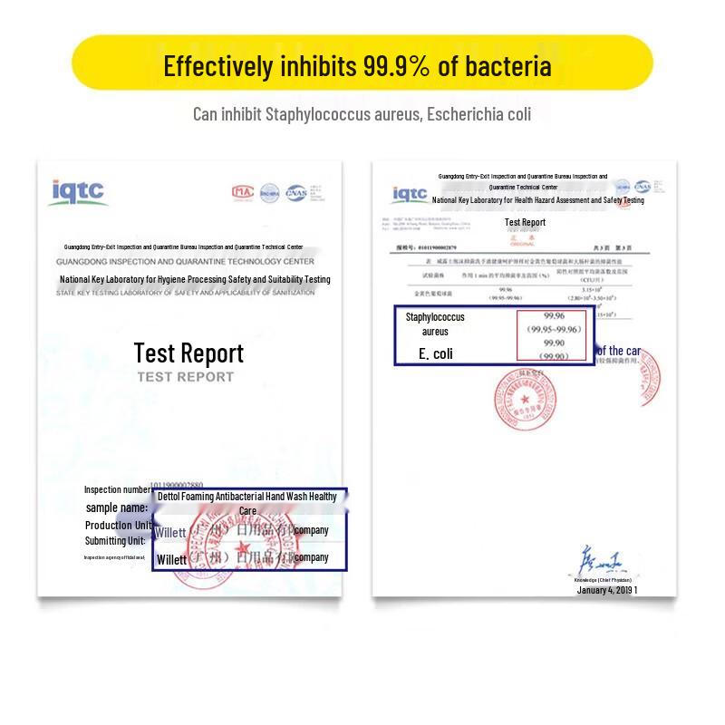 Walch Foaming Antibacterial Hand Wash Refill