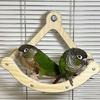 Wooden Parrot Swing Durable Rocking Perch Stand Enrichment Toy Bird Cage Accessories  Pet Parrot