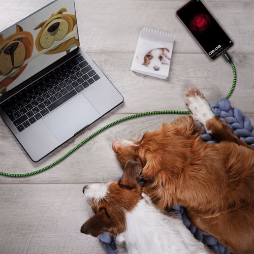 USB Type C Cable [Set of 2 3m] CLEEFUN Type C Cable Long Rapid Charging Cord Type C High Speed ??Data Transfer Heavy Duty Disconnection Prevention Nyl