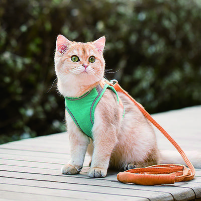 Rockbell Night Reflective Dog Harness Leash Set, Green, 1 Piece