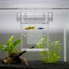 Detachable Fish Breeding Isolation Box Floating Guppy Breeder Box Fish Tank Divider  Aquarium