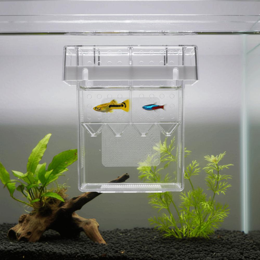 Detachable Fish Breeding Isolation Box Floating Guppy Breeder Box Fish Tank Divider Aquarium