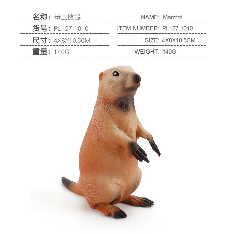 Children'S Science And Education Cognition Grassland Wild Squirrel Animal Model Simulation Solid Groundhog Collection Ornament Toy