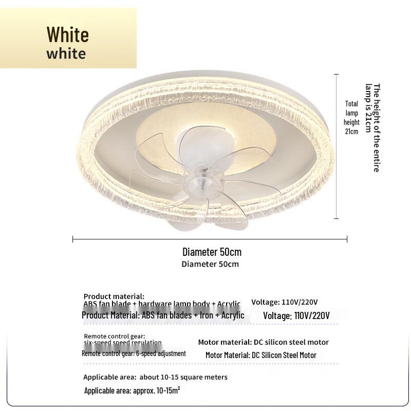 oeny Modern Minimalist Ceiling Fan Light