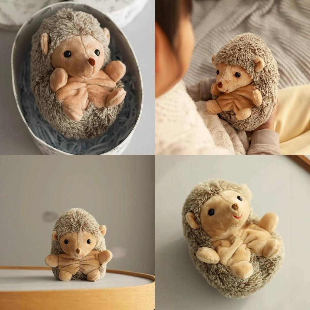 Dilly Dudu Cute Hedgehog Plush Toy With Pp Cotton For Daily Teens Festival Gifts