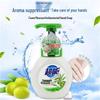 Chao Neng Foam Antibacterial Hand Wash