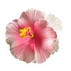 Tropical Plumeria Hibiscus Hair Clips for Women Lightweight Non Slip Grip Beach Wedding Vacation Party Hair Accessories
