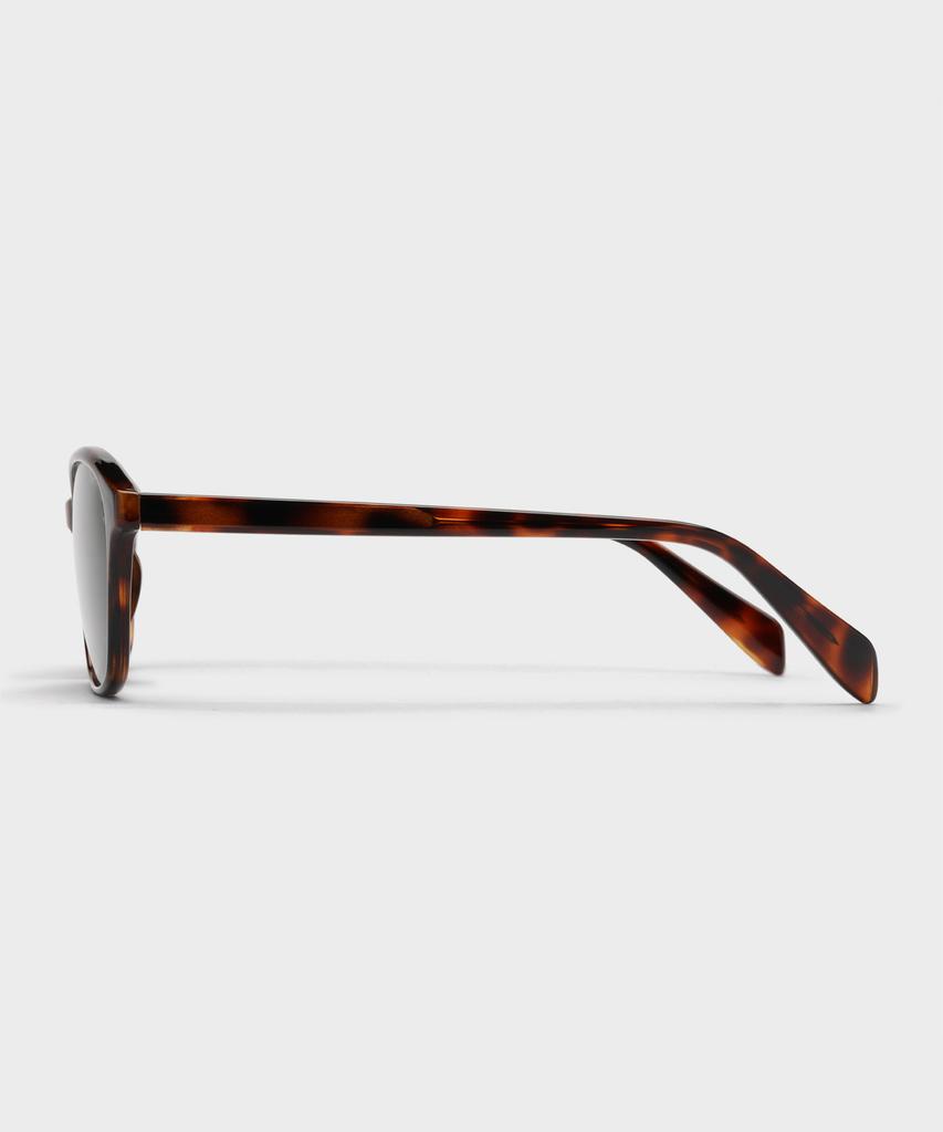 Nonpig Terry_Lp Sunglasses