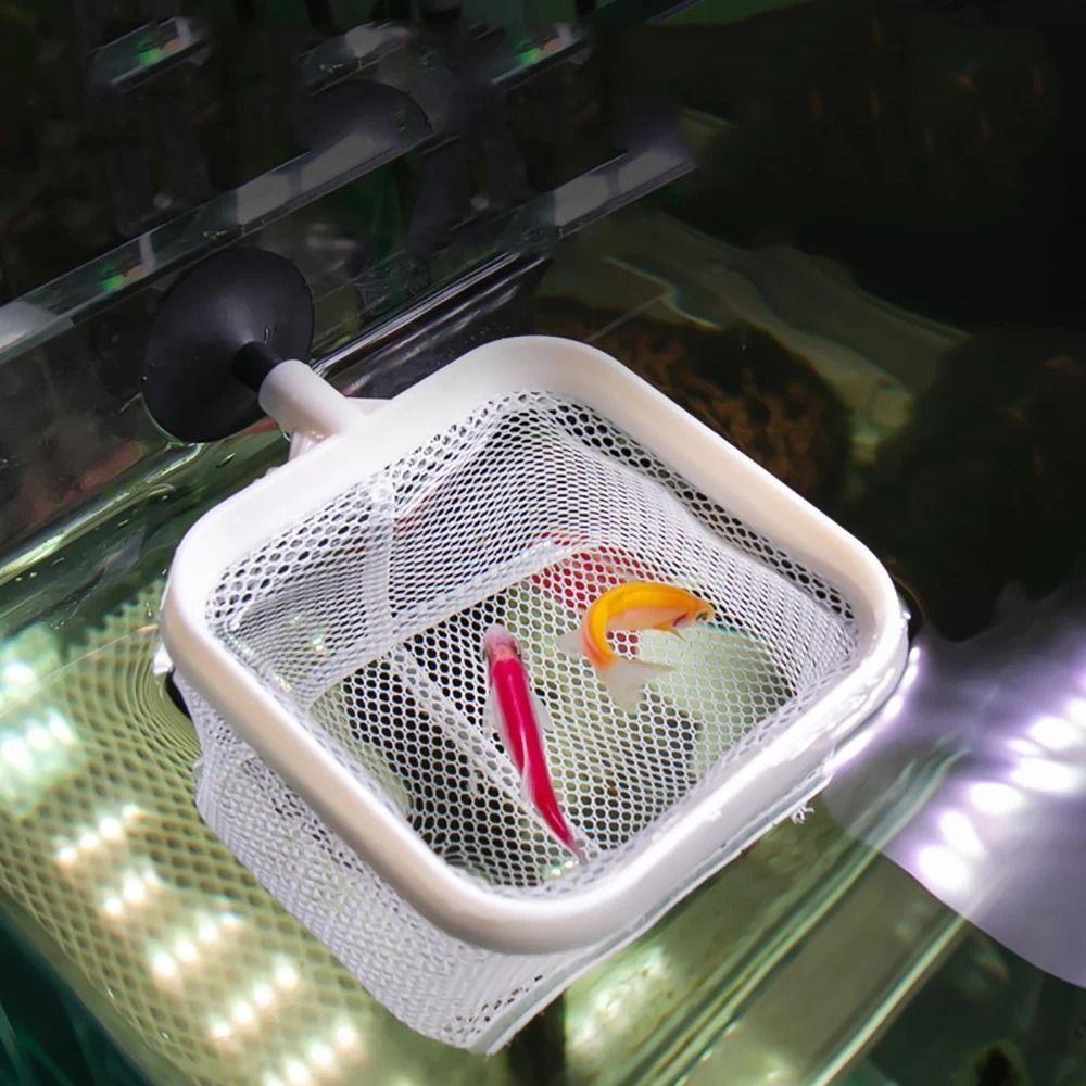 Long Handle Fishing Shrimp Net Extendable Fish Tank Cleaning Net  Aquarium Fish Tank Cleaner Tool