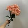 Simulation 5 Heads French Hydrangeas Branch Silk Fake Flowers Restaurant Decoration Champagne Hydrangea Artificial Flower