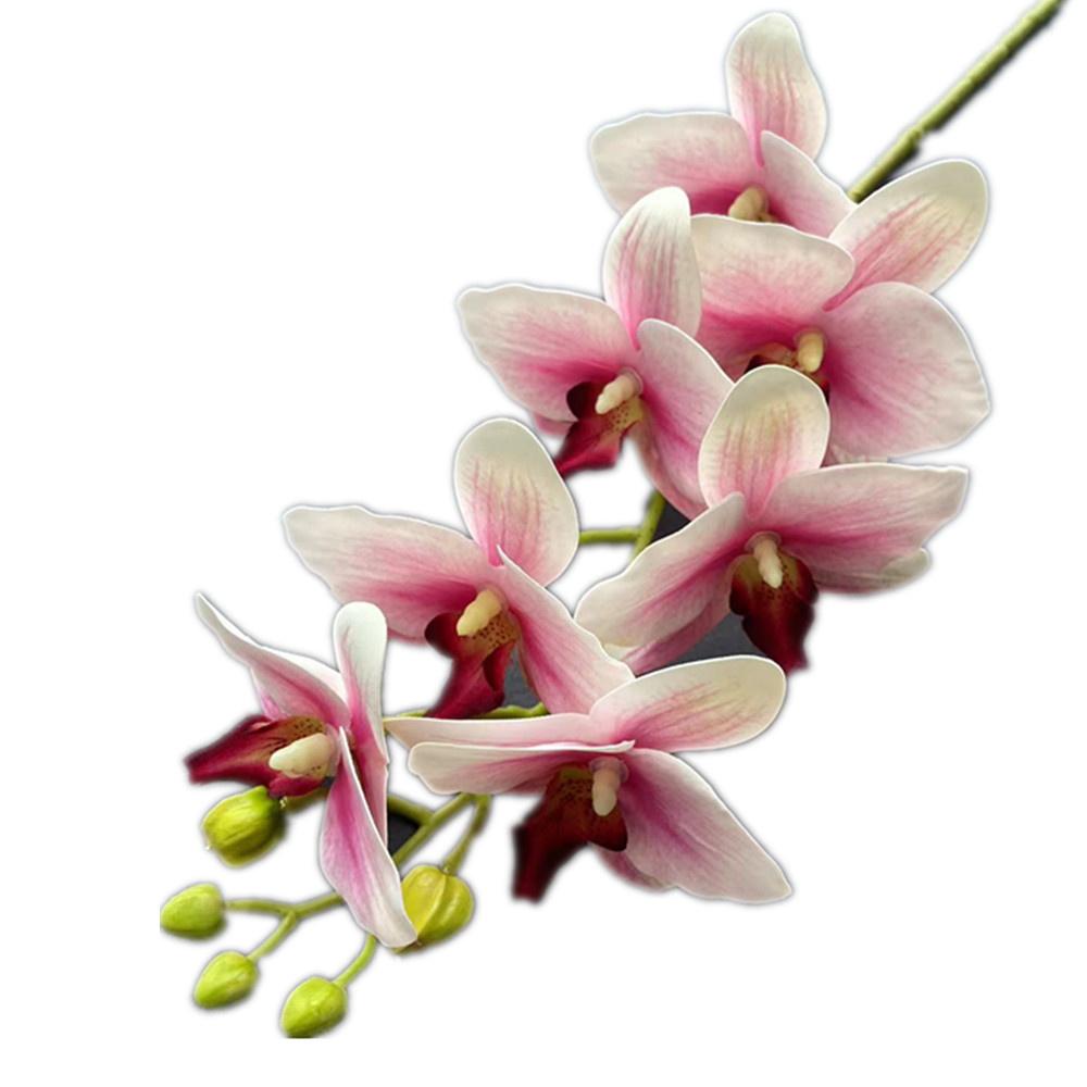 One Real Touch Butterfly Orchid Flower Branch Seven Heads Artificial Moth Phalaenopsis Orchid