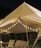 Edison Solar Papaya String Lights - Retro Outdoor Waterproof Decor