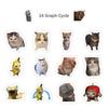 500pcs/roll Funny Cat Meme Stickers Sealing Label Decals Cute Decoration Notebook Phone Guitar Kids Reward Cartoon Sticker Gift