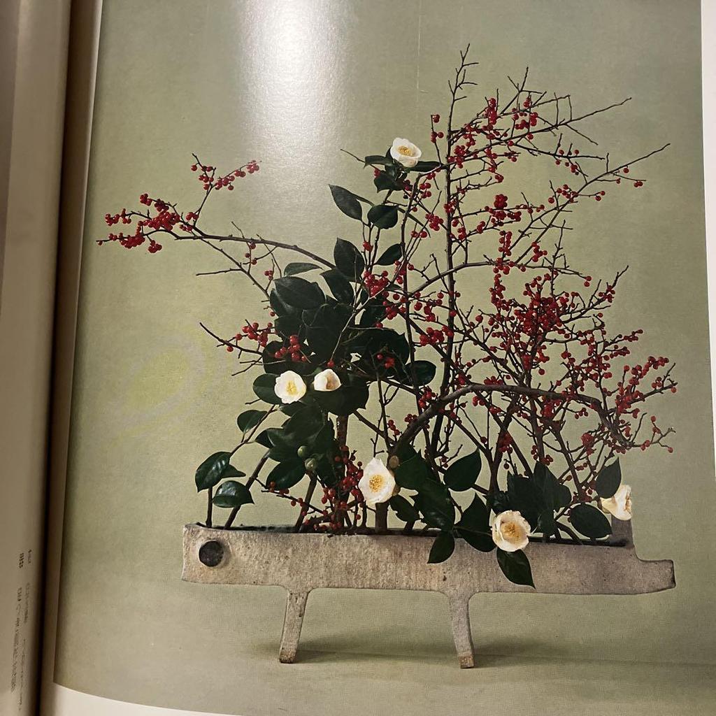 [POUŽITÉ] Ryuseiha Květiny jara Fotokolekce