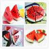 Simulation Fruit Cute Watermelon Pendant Cellphone Strap Purse Bag Key Chain