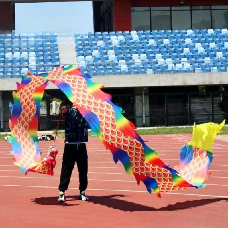Dragon Dance Ribbon with Head Chinese New Year Gift Festival Performance Props Outdoor Fitness Wu Long Products