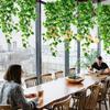 1PC Künstliche Hängepflanzen Für Wand Indoor Outdoor Dekoration (Keine Körbe)