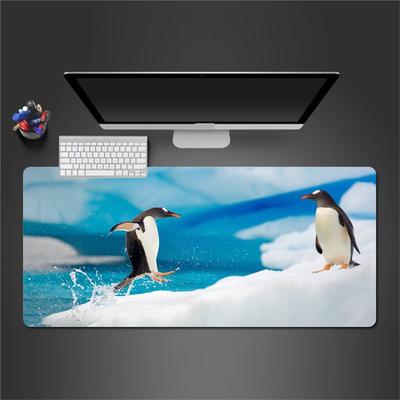 Deck Holder Collection V3 Fujimi Fantasia Bunko Akashic Records of Bastard Magic Instructor Vol.1039 "Sistine Fibel"