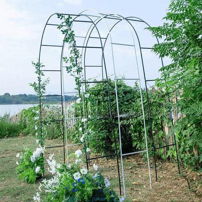 Climbing Plant Support Flower Holder Arch Iron Art Plant Support Trellis  Garden Decoration