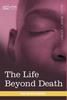 Kniha The Life Beyond Death