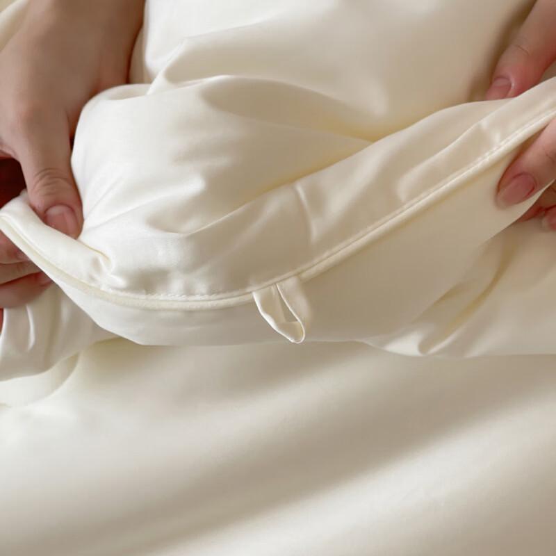 Brangdy All-Season Thickened Soy Fiber Duvet Insert