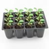 6 Zellen 12 Zellen Anzuchtschalen Keimbox mit Transparentem Deckel Garten Gewächshaus Pflanze Blume Gemüse Anzuchttöpfe 10 Stück