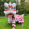 Adult Blinking Foam Lion Dance Set