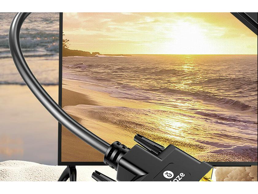 Biaz DVI To DisplayPort Male-to-Male HD Adapter for Computer To Projector Connection