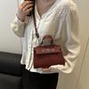 Niche Design Trendy Women's Bags New Versatile Fashion Simple Portable Shoulder Bag Crossbody Small Square Bag