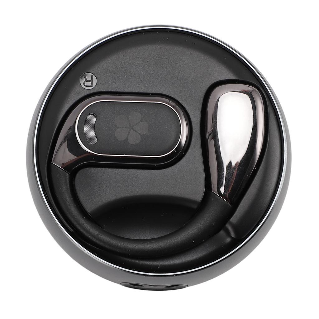 Sprachübersetzer-Ohrhörer Bluetooth 5.4 True Wireless Stereo Noise Cancelling 133 Spracheneingabe mit