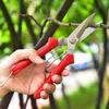 Garden Pruning Shears: Stainless Steel Fruit, Flower, Bonsai, and Branch Thinning Tool.