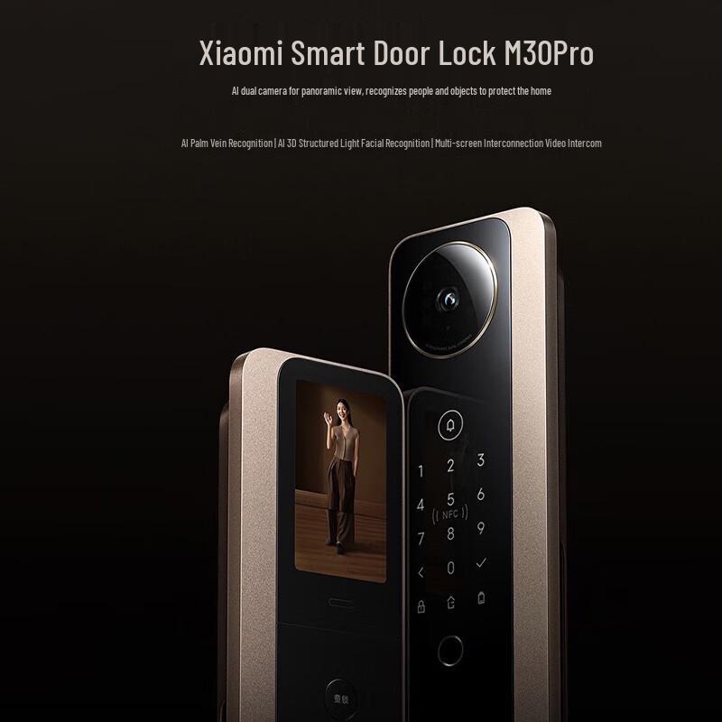 Xiaomi Smart Door Lock M30Pro