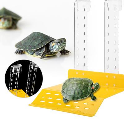Plateforme flottante pour tortues et reptiles, plate-forme flottante pour aquarium