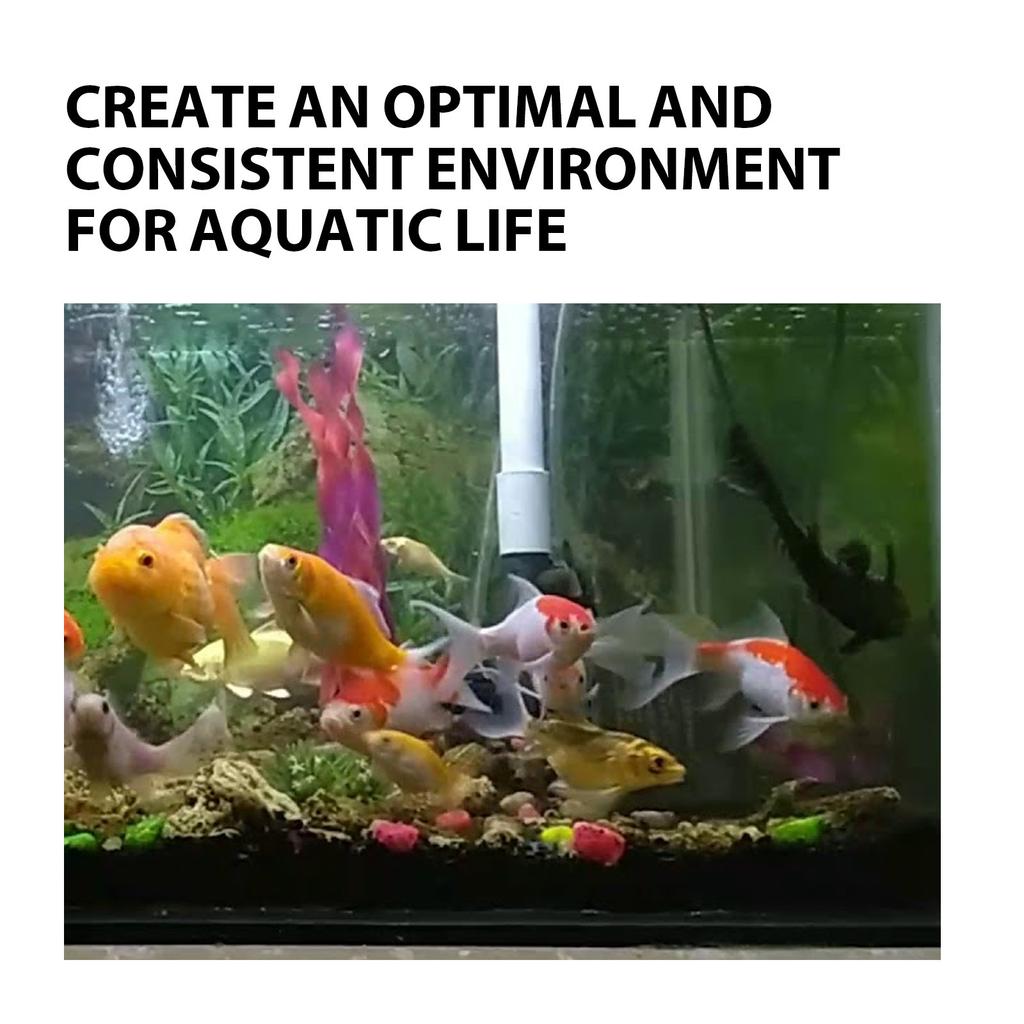 Tap Water Conditioner Water Cleaner for Aquarium Swimming Pool Efficiency Water Dechlorinator Tablets for Fishtanks