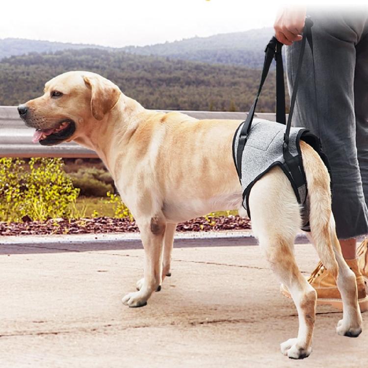 Adjustable Dog Back Padded Support Strap for Puppy Injuries Joint Recovery Tool