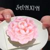 DIY Pfingstrosen-Mousse-Kuchen Silikonform