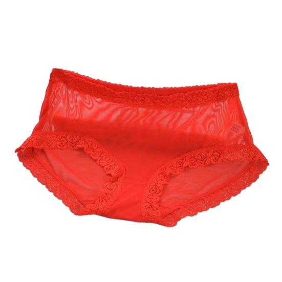 Sexiga Underkläder för Kvinnor Mellanhöga Genomskinliga Nät Trosor Damer Sömlösa Blommiga Spetskantade Trosor